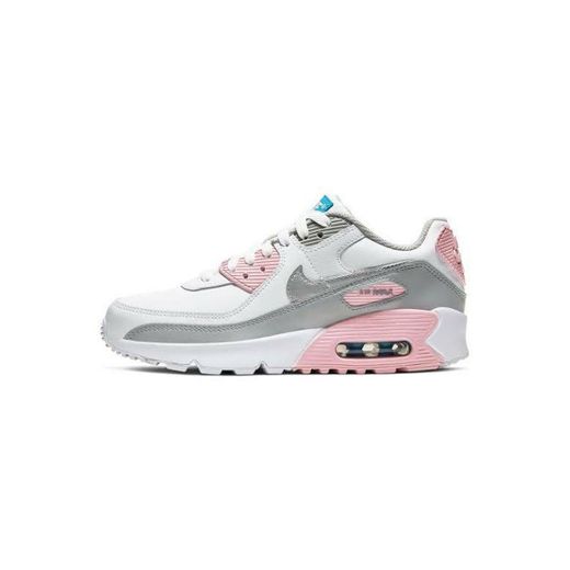 Tênis Nike Air Max 90 LTR Feminino