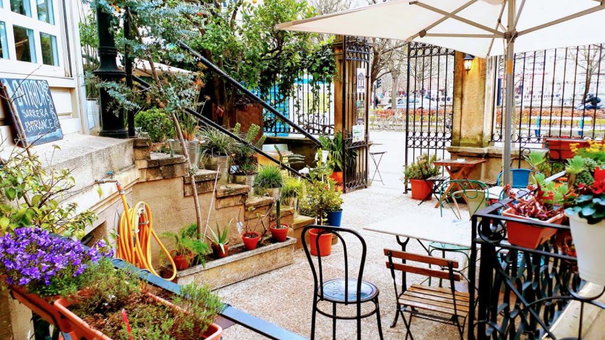 Social Kafe Botanika 