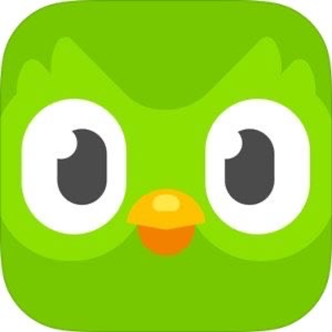 Moda Duolingo (app de idiomas)