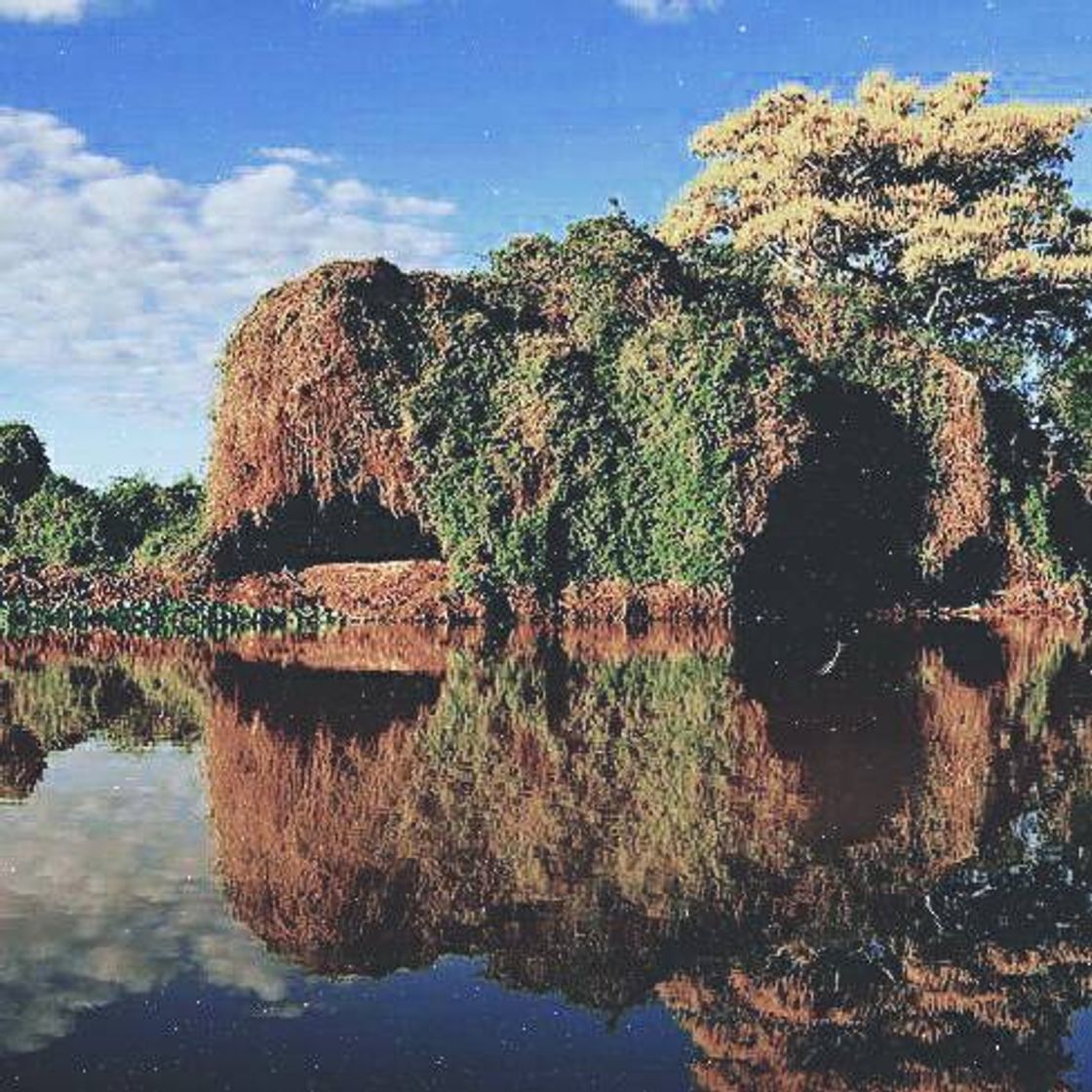 Lugar Mato Grosso