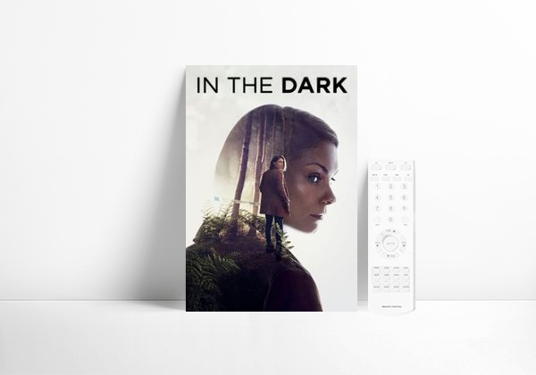 Serie In the Dark