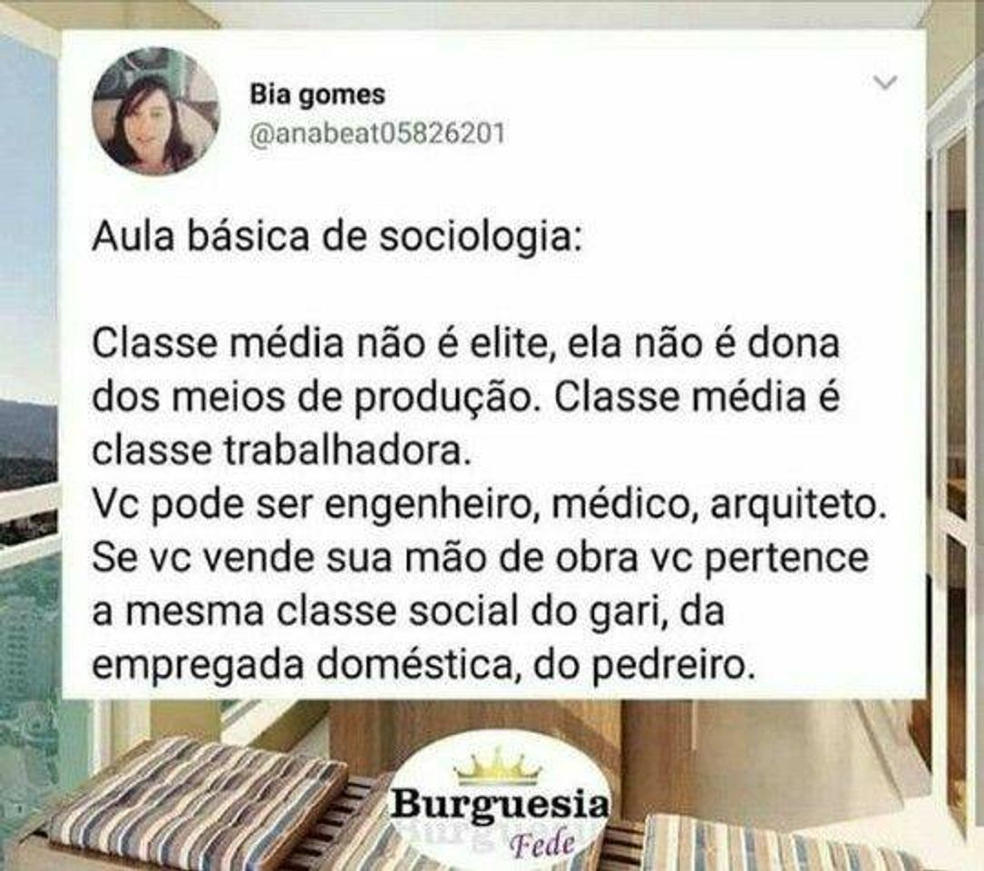 Social Study
