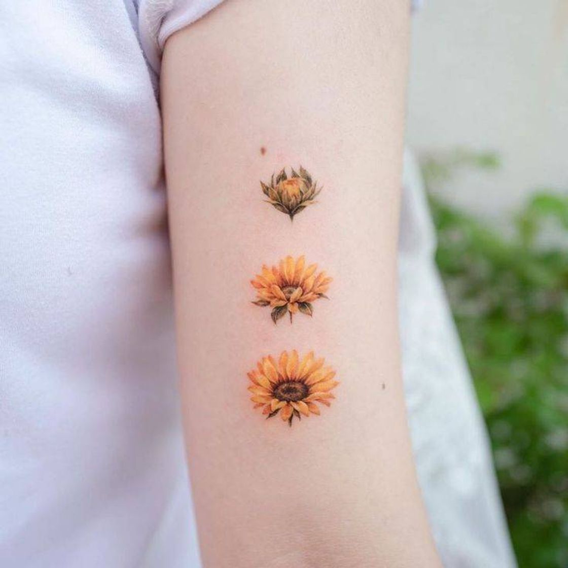 Moda Tatuagem Girassol 🌻