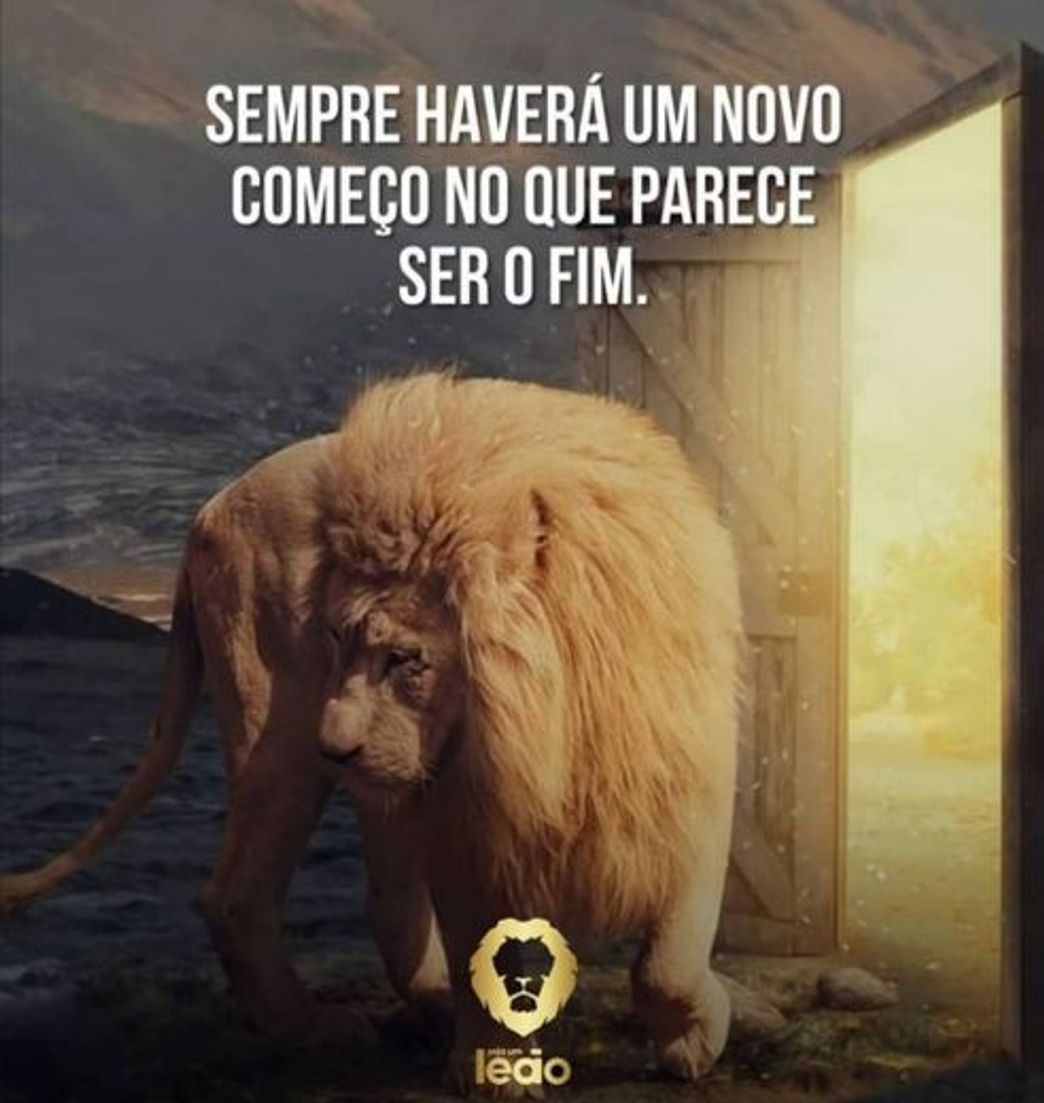 Moda Motivação pessoal