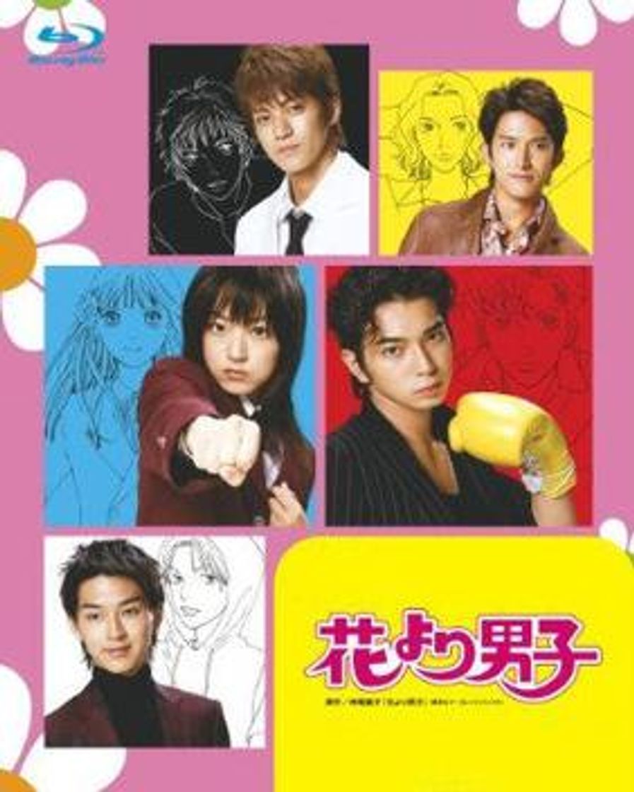 Series Hana Yori Dango