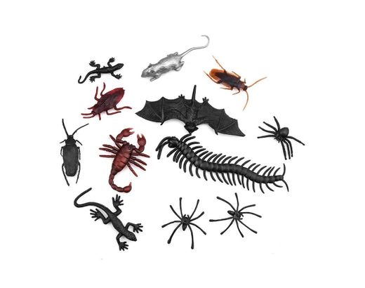 Insectos