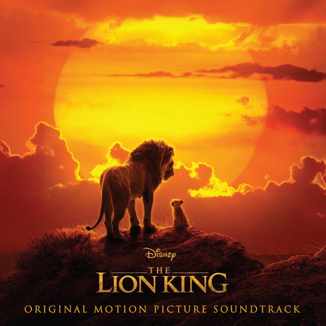 Canción Circle of Life/Nants' Ingonyama