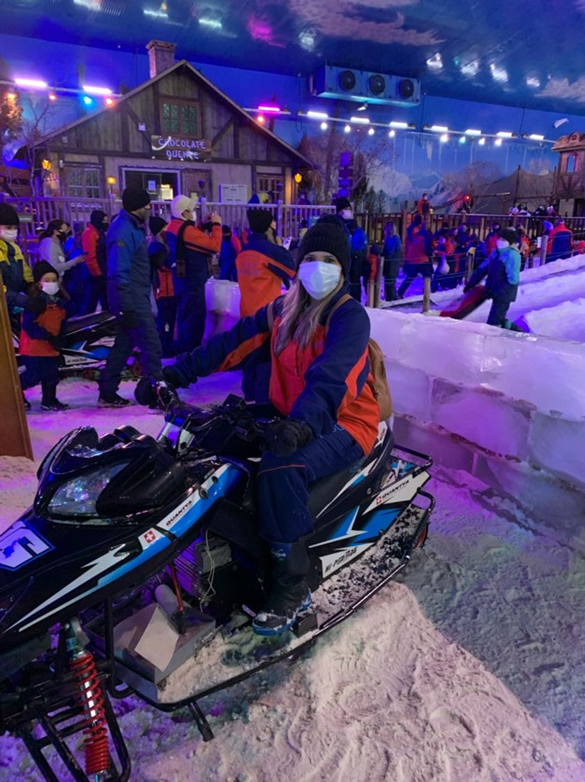 Place Snowland