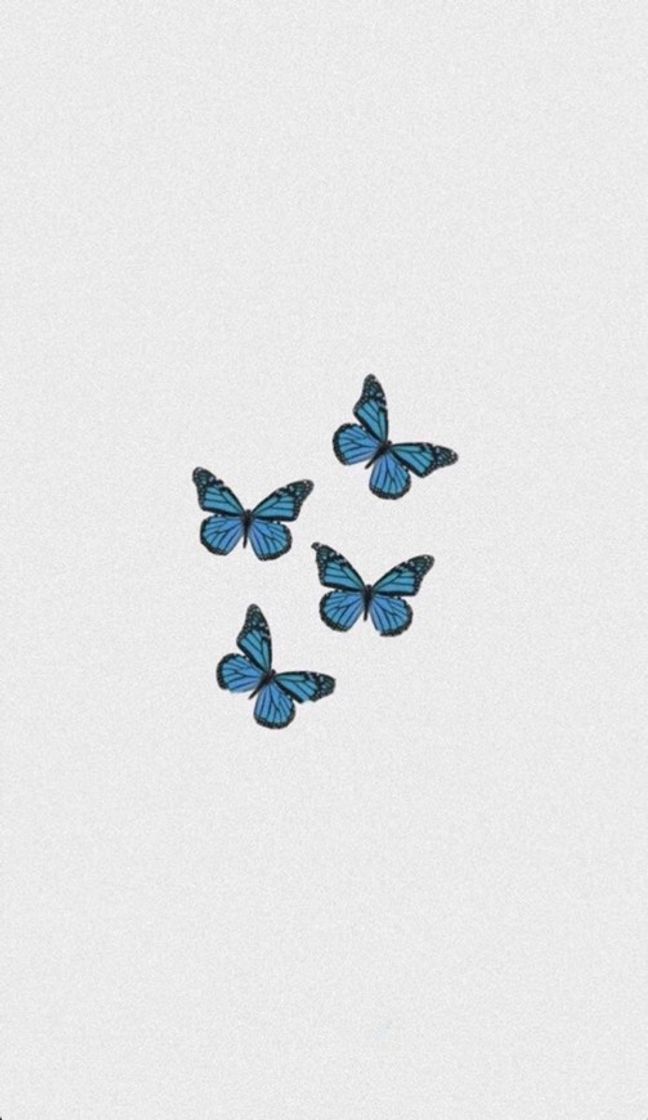 Social Wallpaper de borboleta 