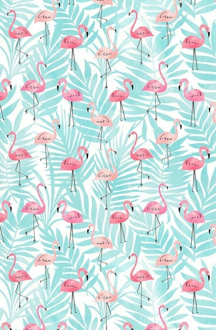 Fashion Wallpaper de flamingo 