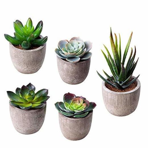 HB life 5 Piezas Plantas Suculentas Artificiales Plastico Maceta Decorativas