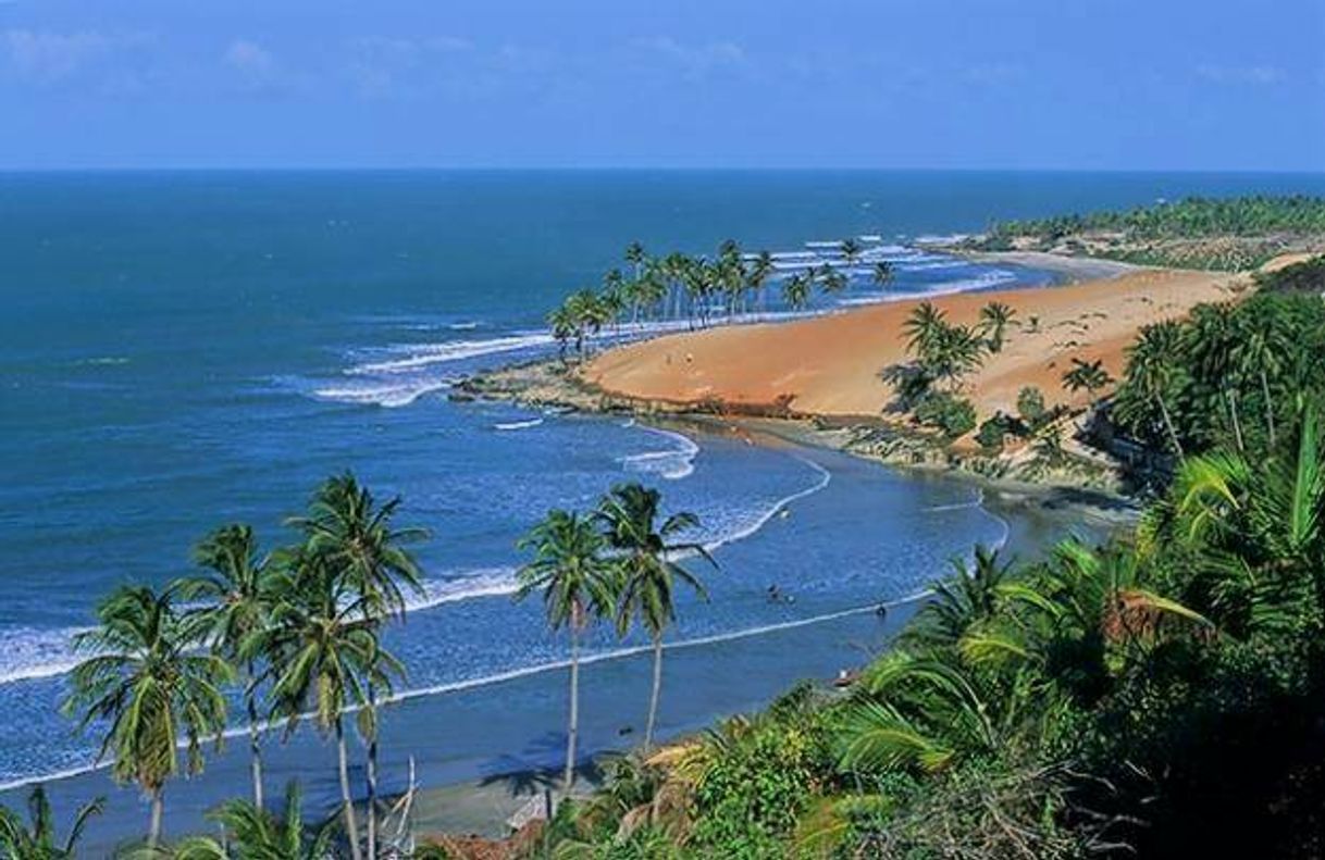 Moda Flecheiras,paraíso.