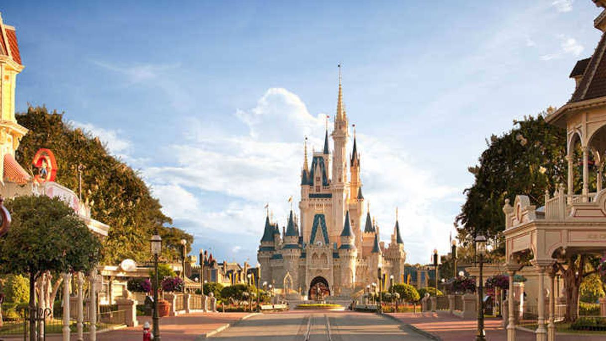 Place Magic Kingdom