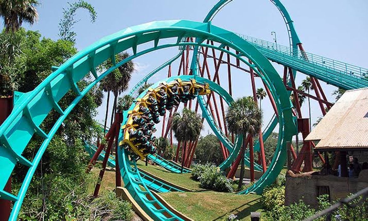 Place Busch Gardens Tampa Bay