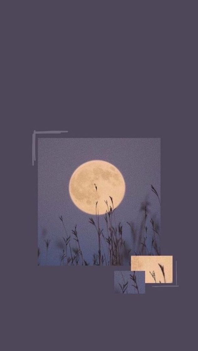 Social Wallpaper 