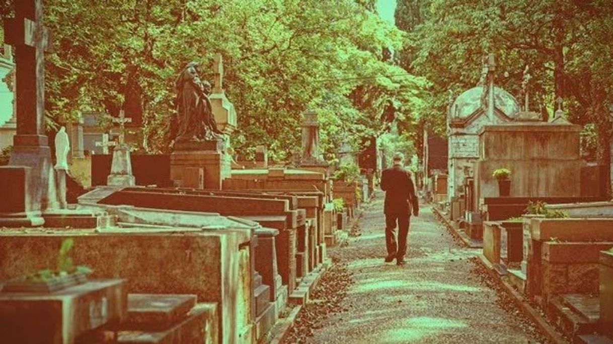 Social Dois relatos de premonição