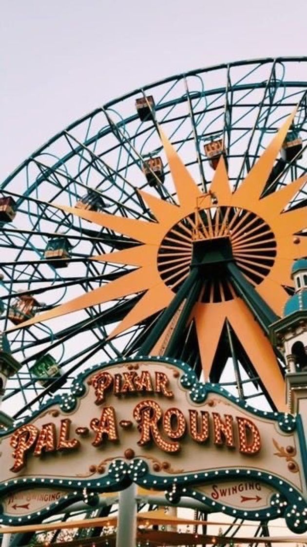 Social 🎡