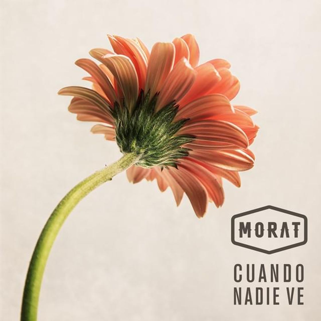 Canción Morat - Cuando nadie ve 🎶