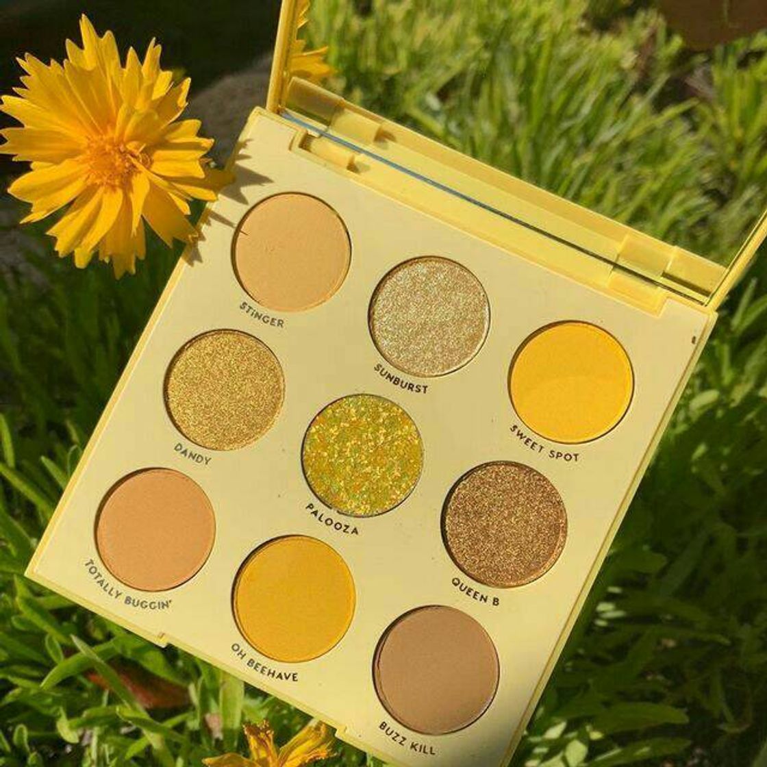 Product Paleta yellow💛🌻