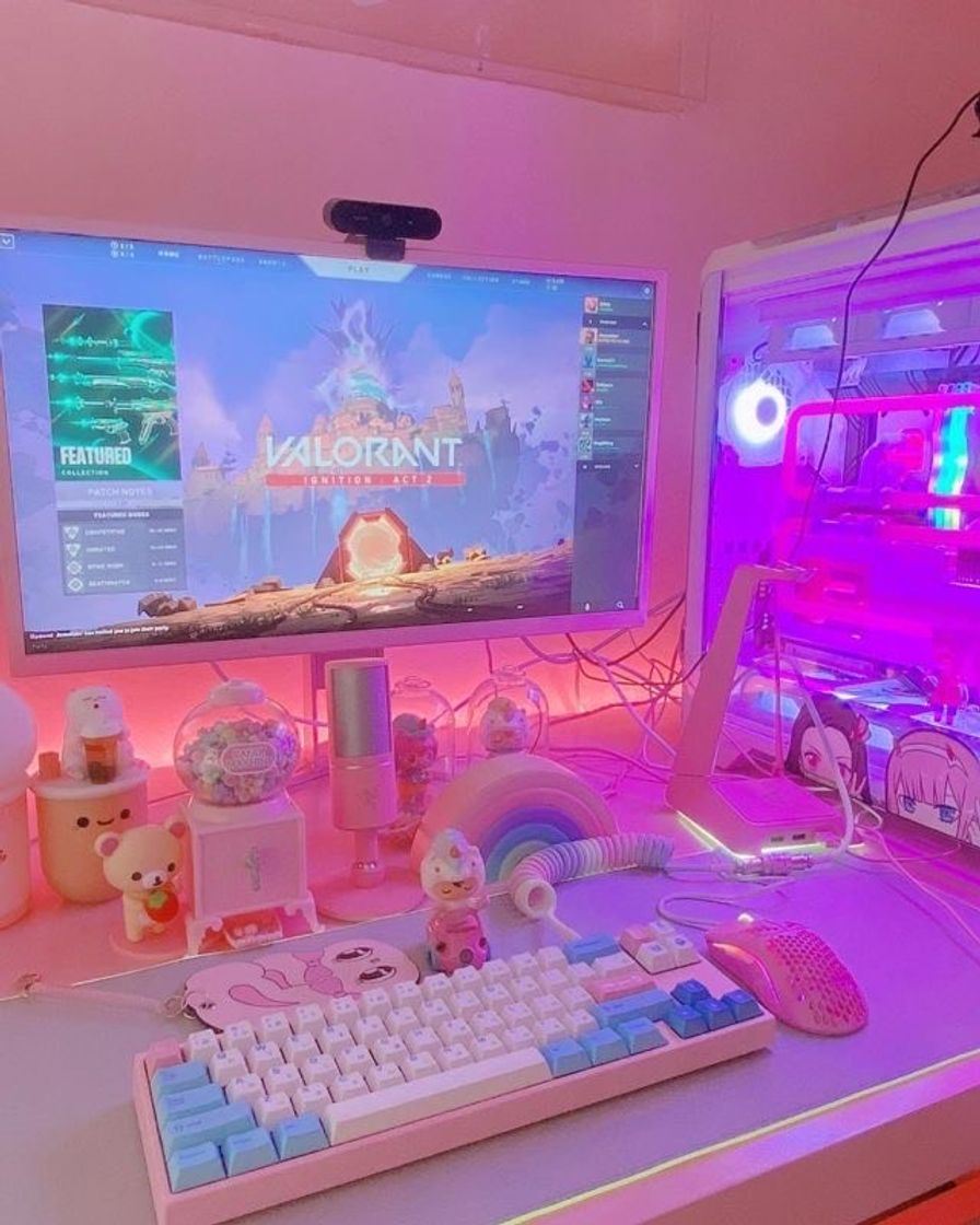 Fashion setup gamer 