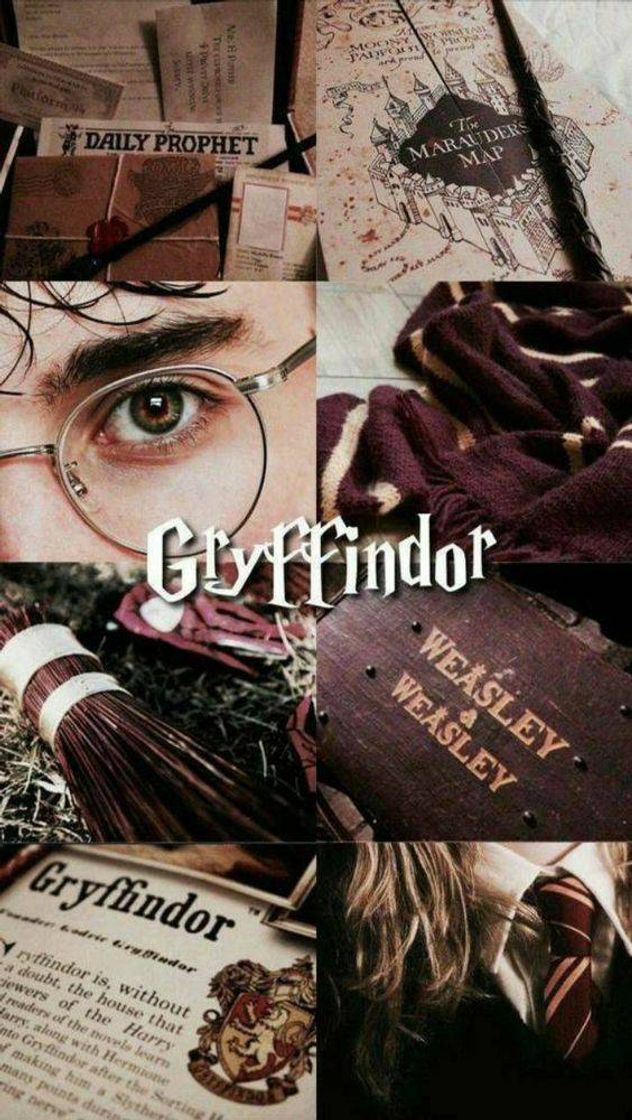 Fashion gryffindor wallpaper