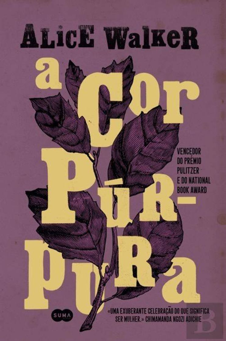 Libro A cor púrpura