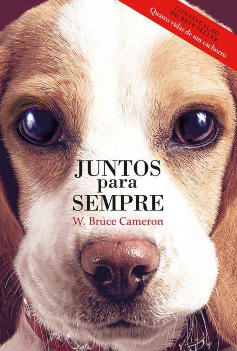 Libro Juntos para sempre - continuação Quatro vidas de um cachorro