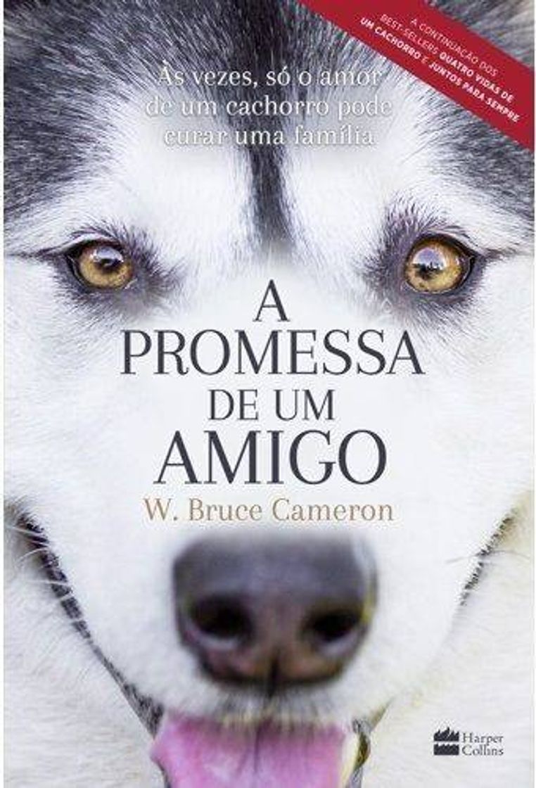 Book A promessa de um amigo - continuação de Juntos para sempre 