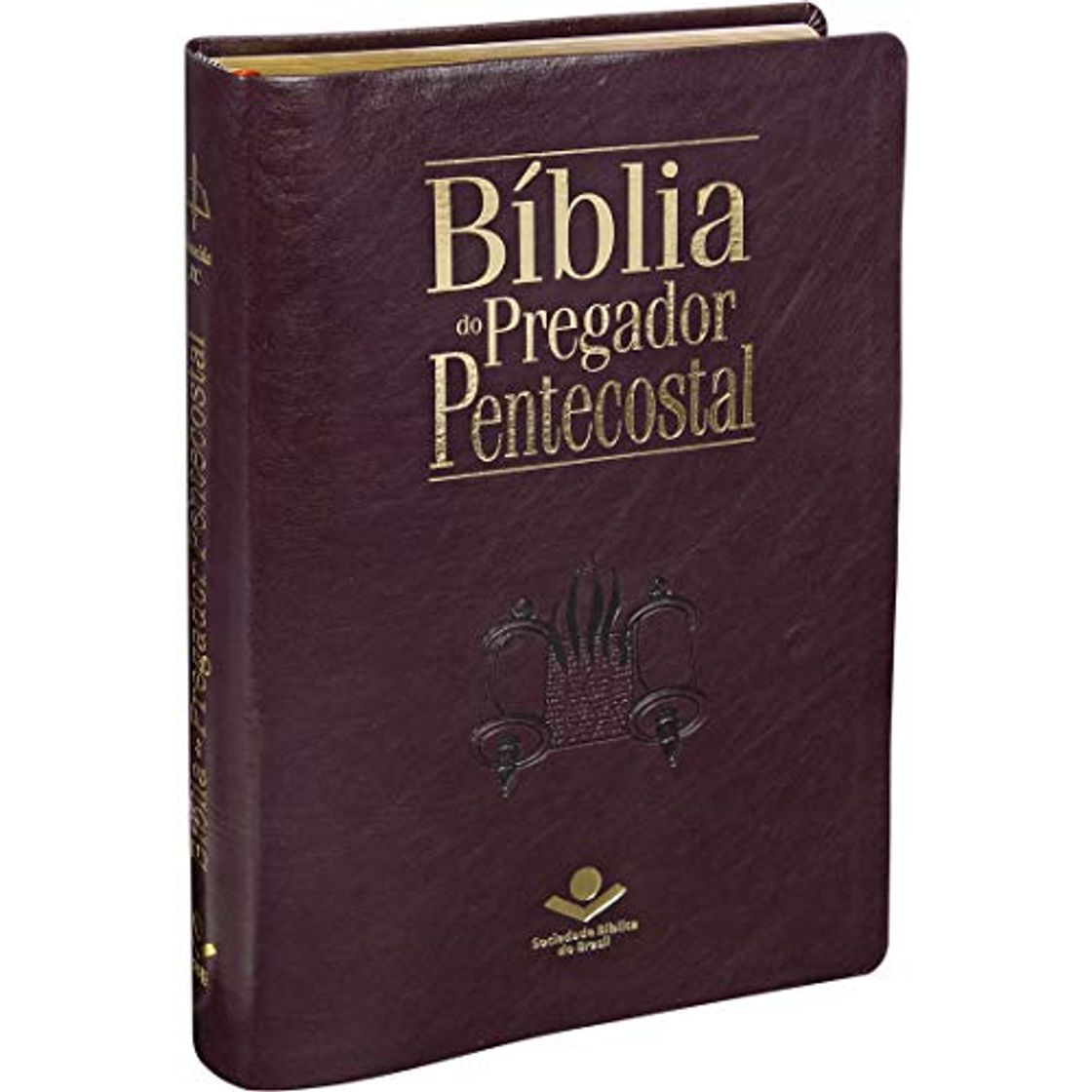 Libro Bíblia do Pregador Pentecostal