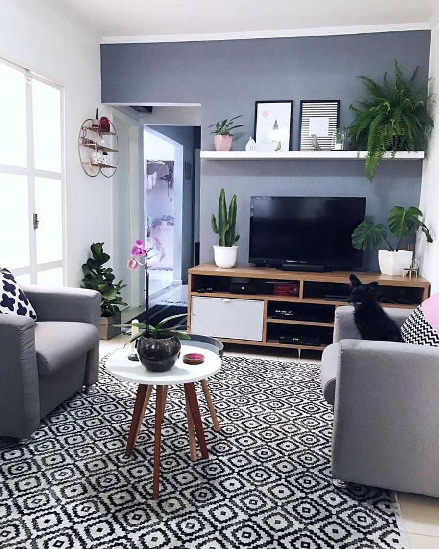 Moda Ideias para decorar sua casa