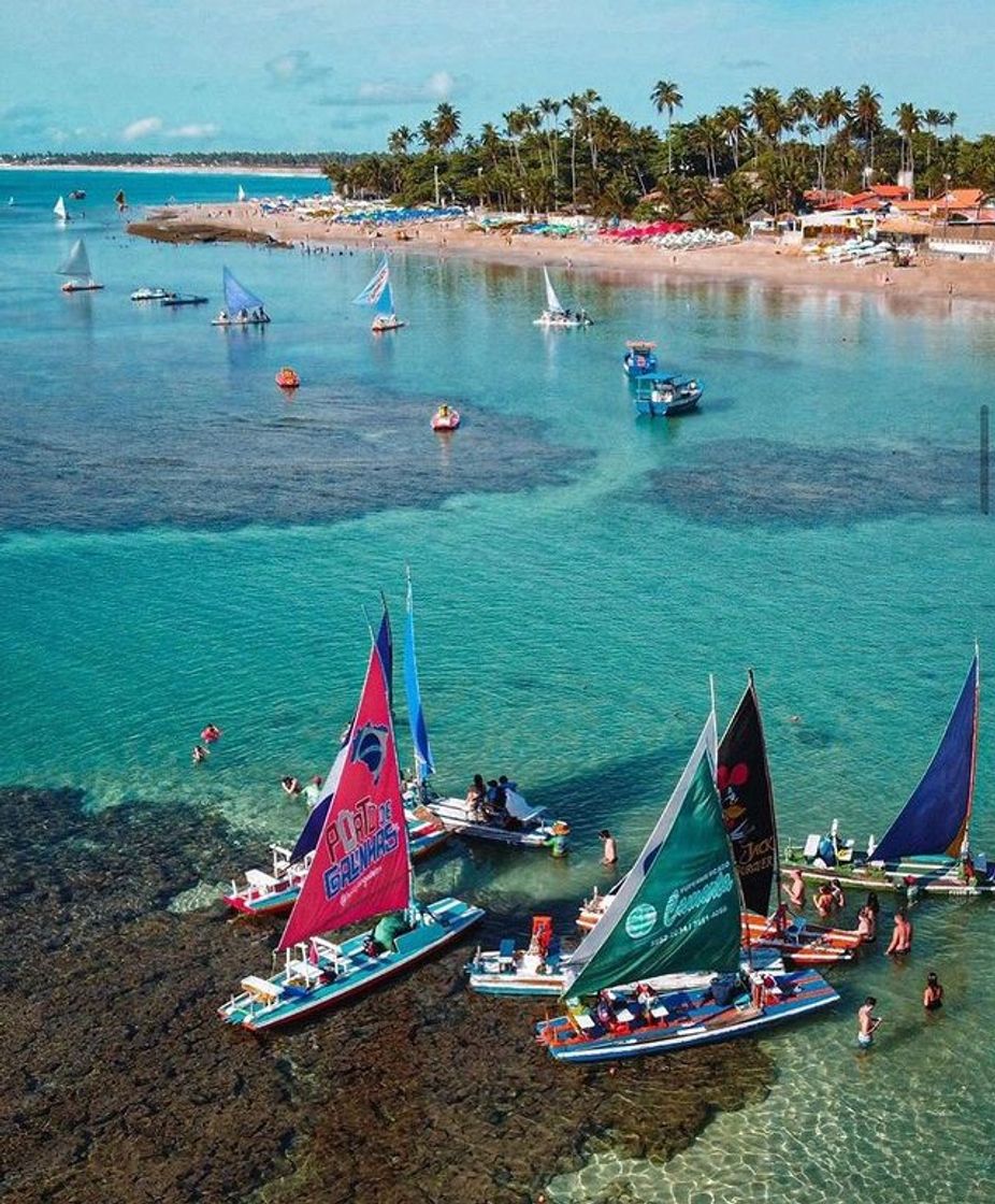 Moda Porto de galinhas 