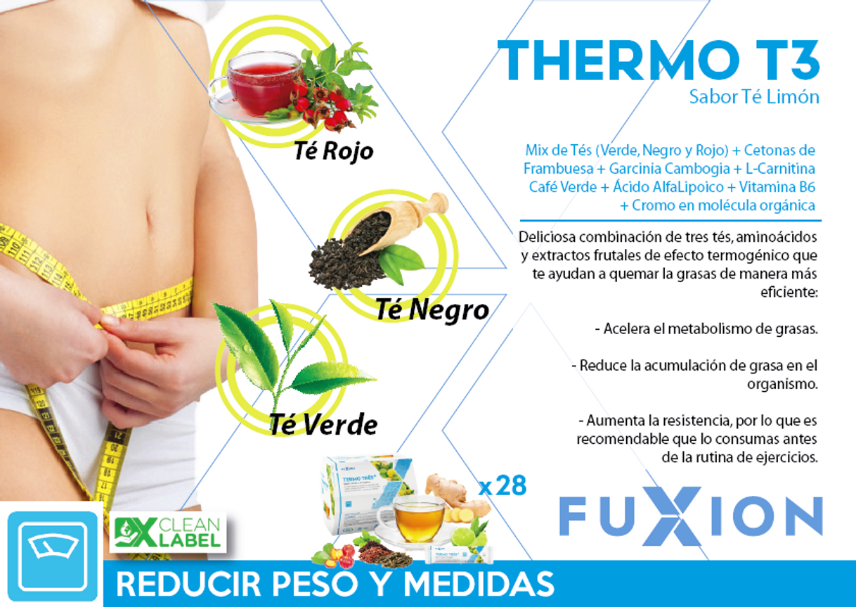 Moda Termo t3