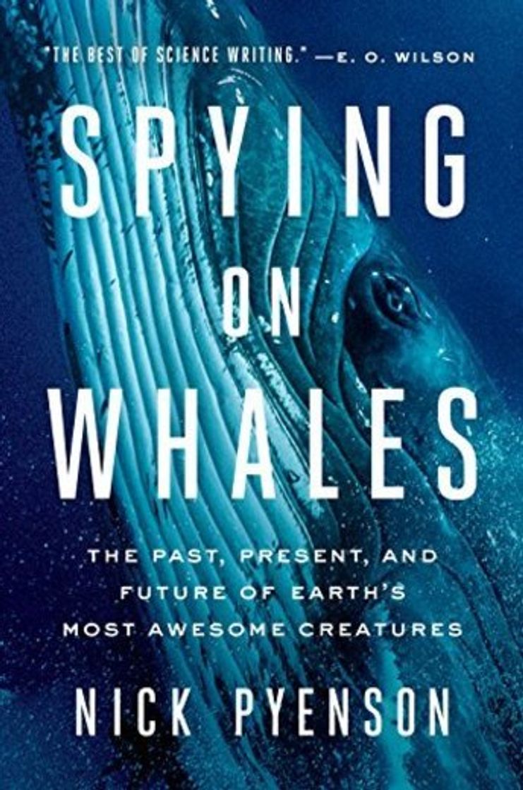 Book Spying on Whales