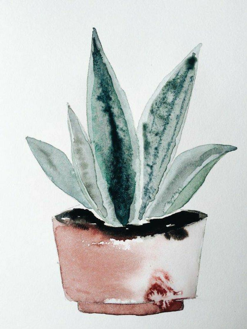 Moda Plant art 