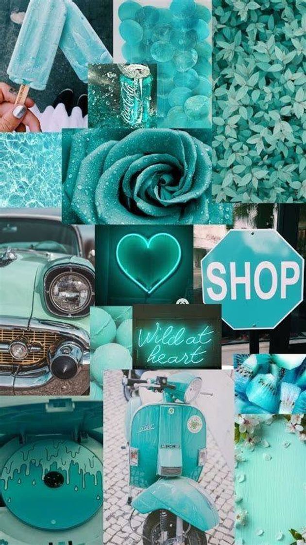 Fashion Wallpaper 💚💙