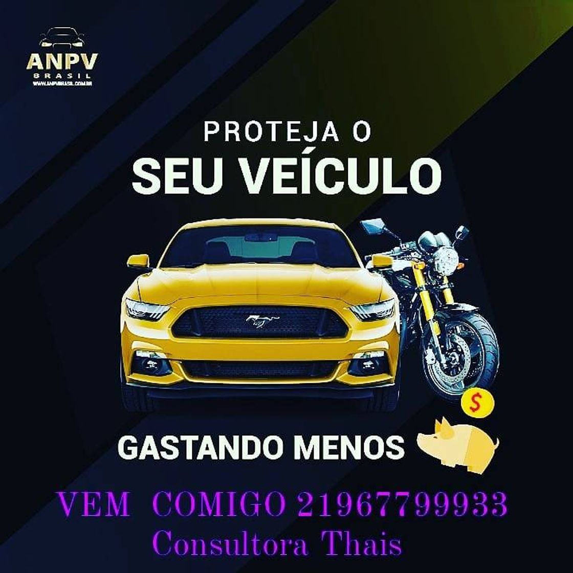 Moda SEGURO ANPV BRASIL SEGUROS