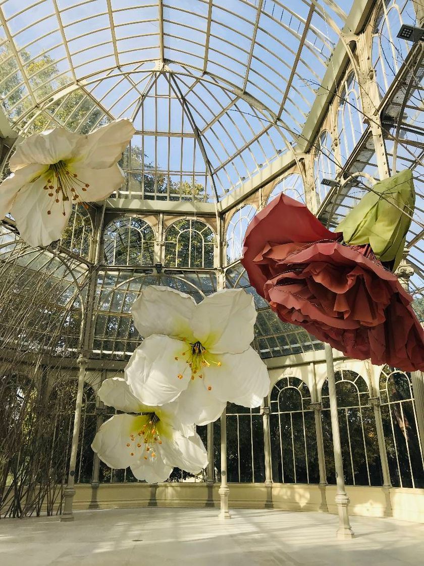 Lugar Palacio de Cristal