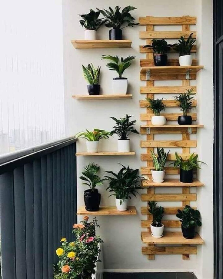 Social decoração com plantas
