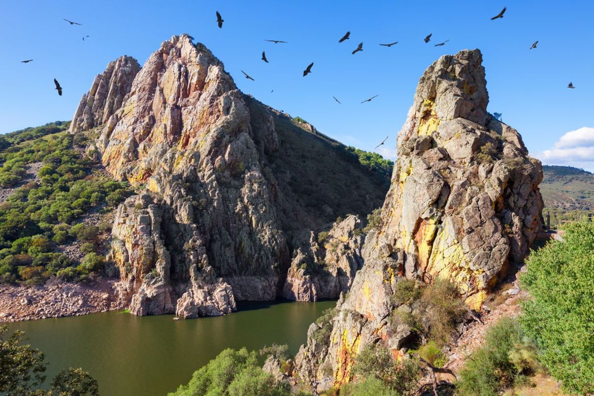 Lugar Parque Nacional de Monfragüe