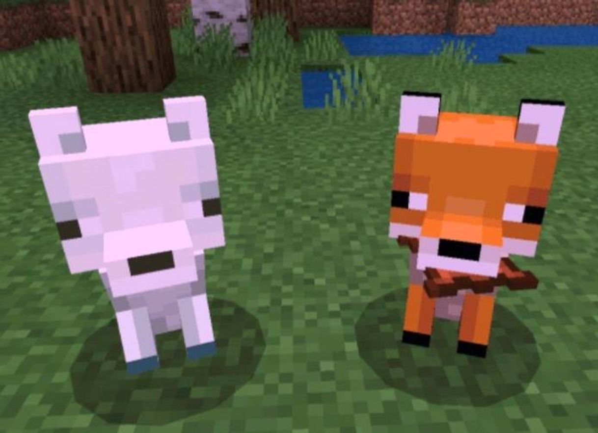 Social 🦊Zorros Como Mascota☝️ | Minecraft PE 1.16 Addons