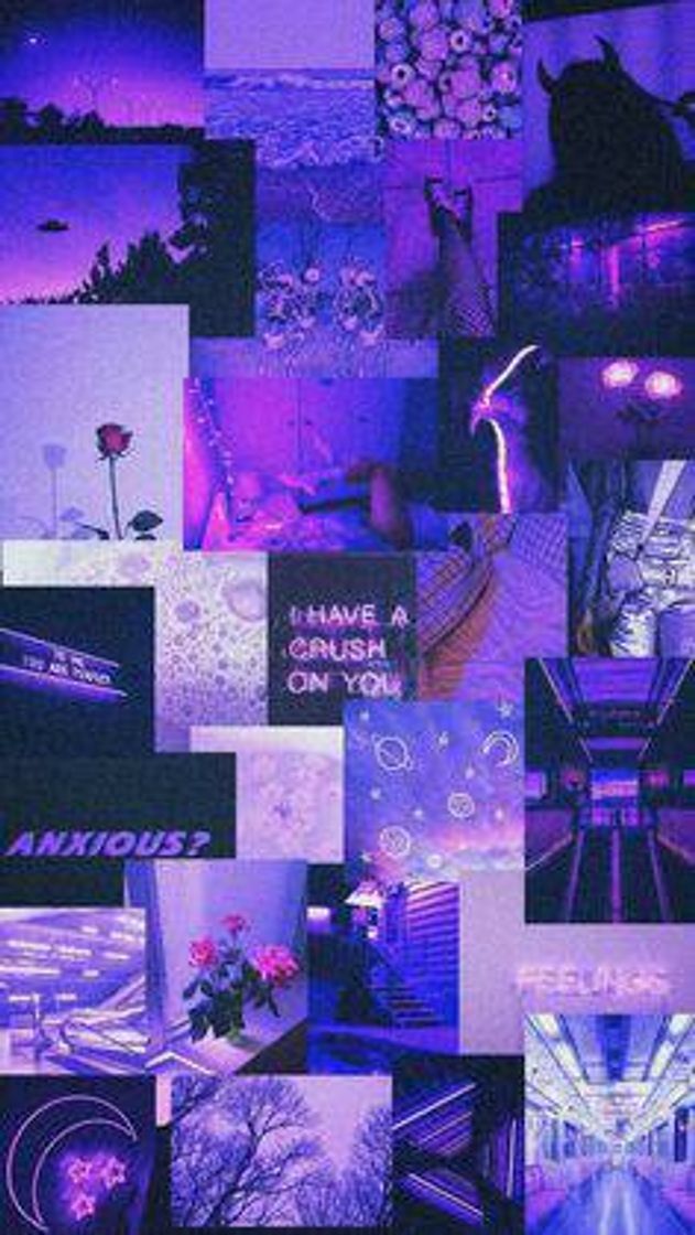 Fashion Wallpaper roxo 