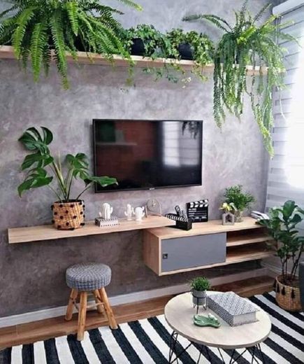Uma sala decorada de forma simples com plantas. 