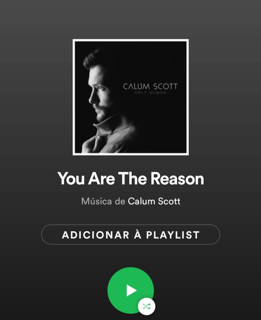 Music You Are The Reason