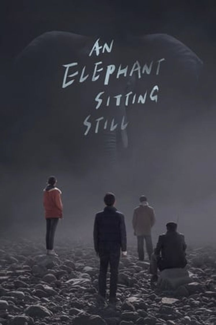 Movie An elephant sitting still