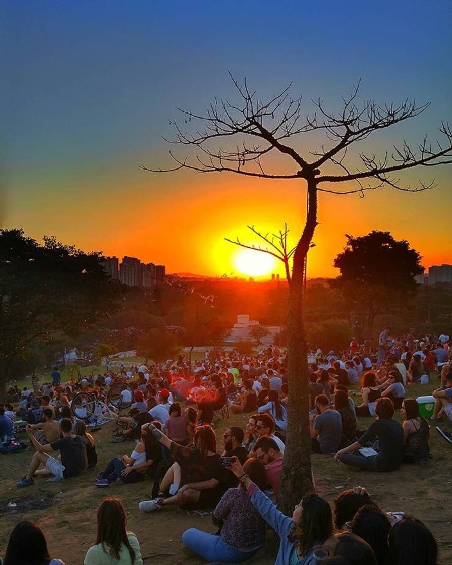 Lugar Praça Panamericana