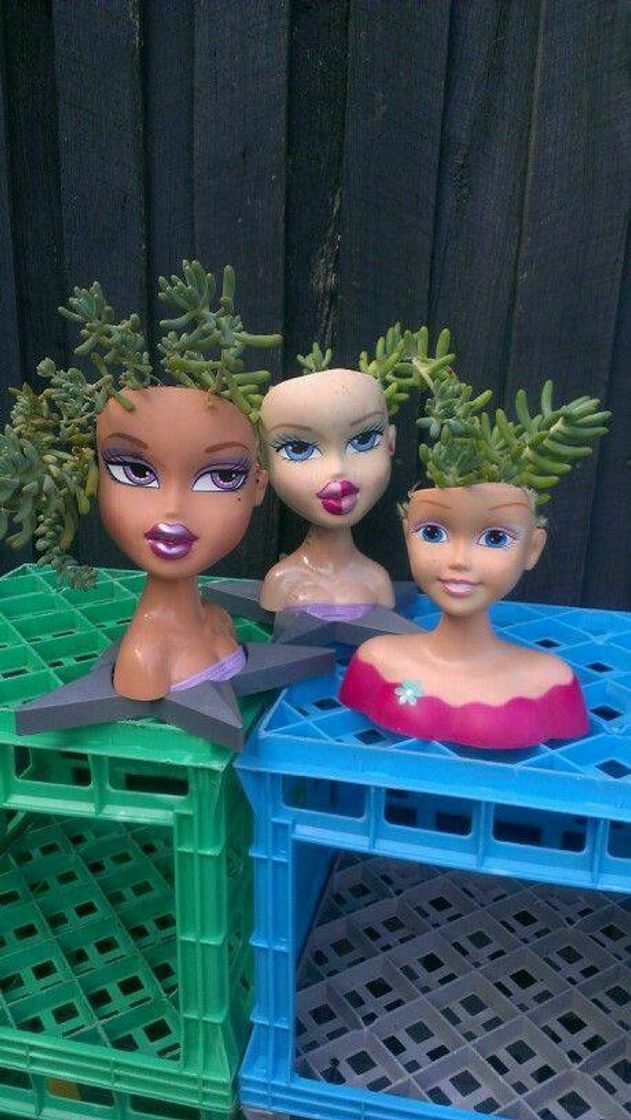 Social Plantinhas