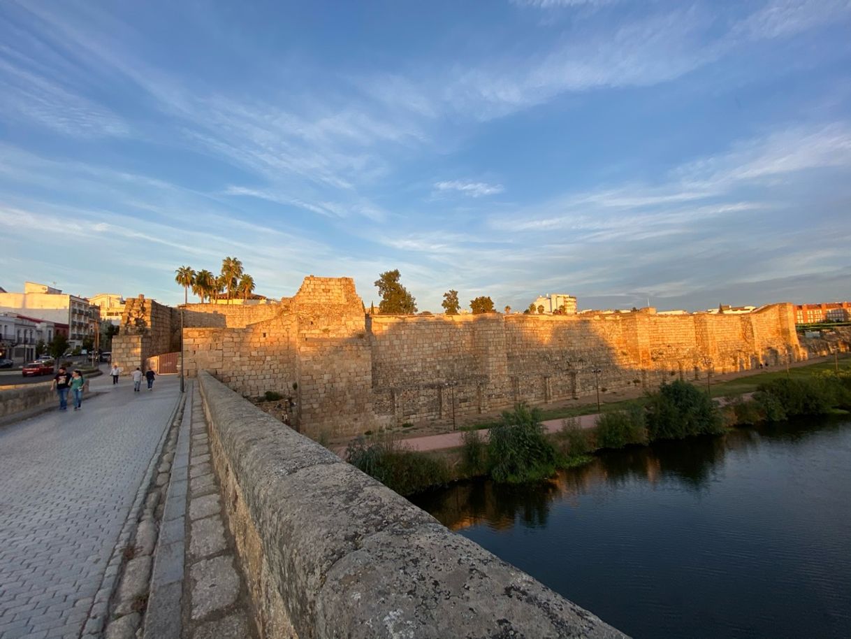 Place Alcazaba