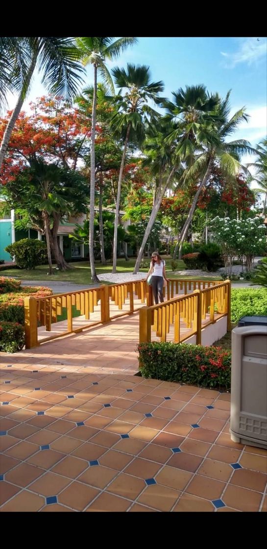 Place Grand Palladium Punta Cana Resort & Spa