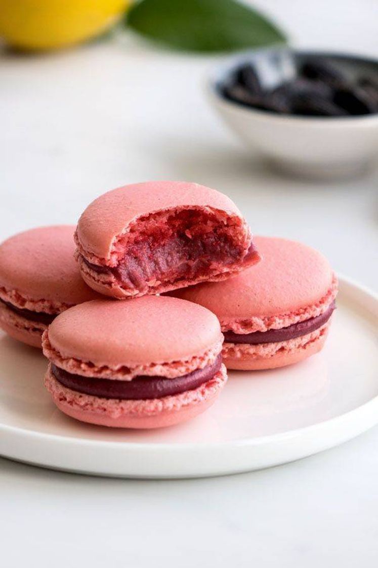 Moda Macarons