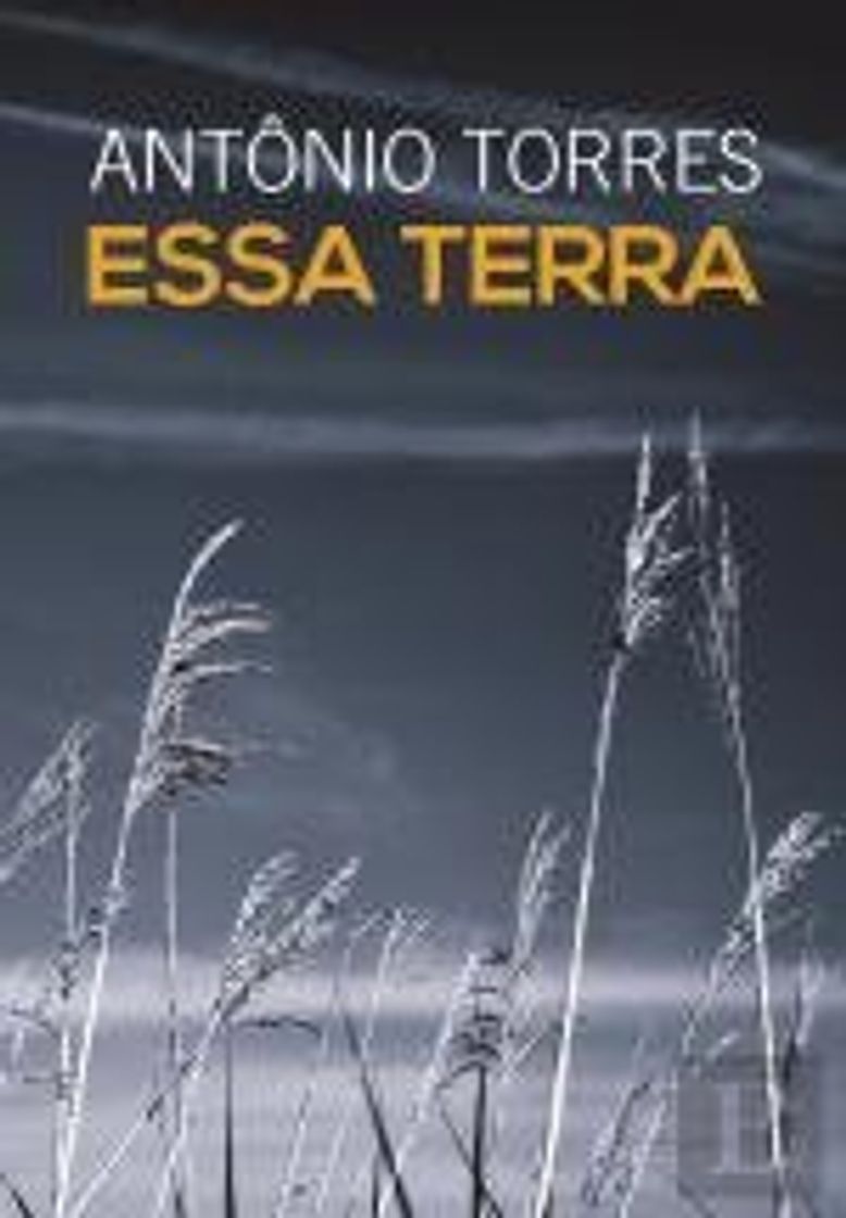 Libro Essa Terra